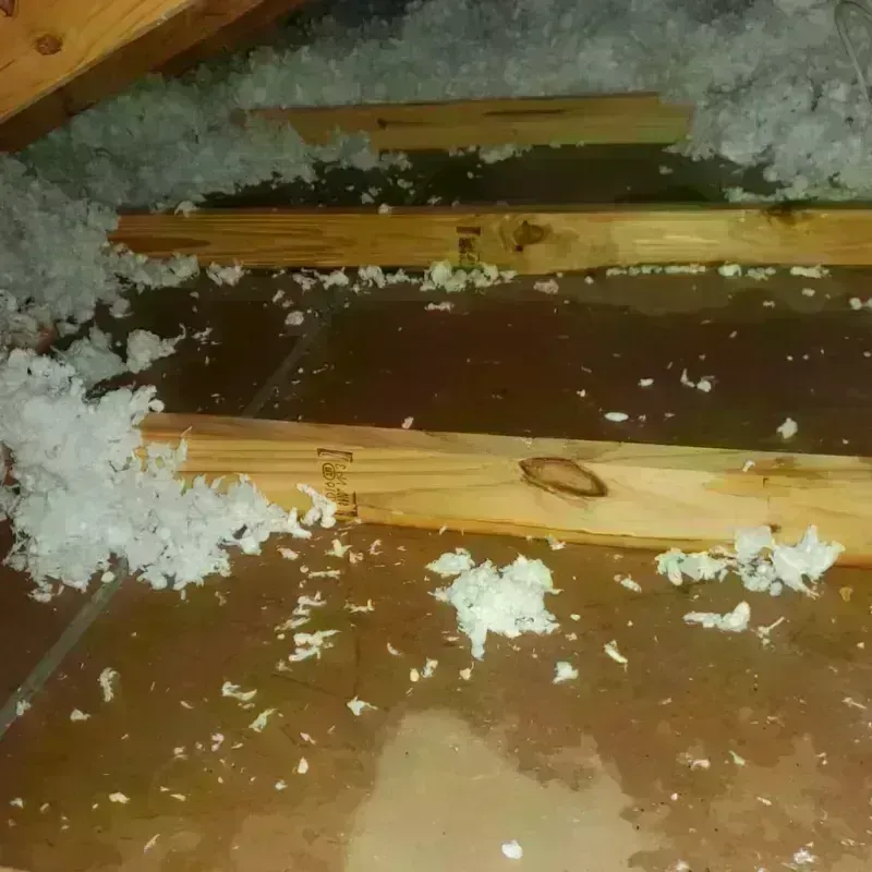 Attic Water Damage in Weston, WI