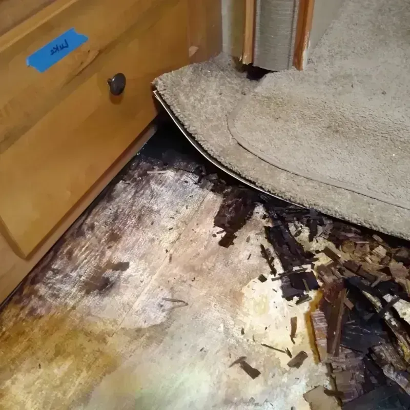 Wood Floor Water Damage in Weston, WI